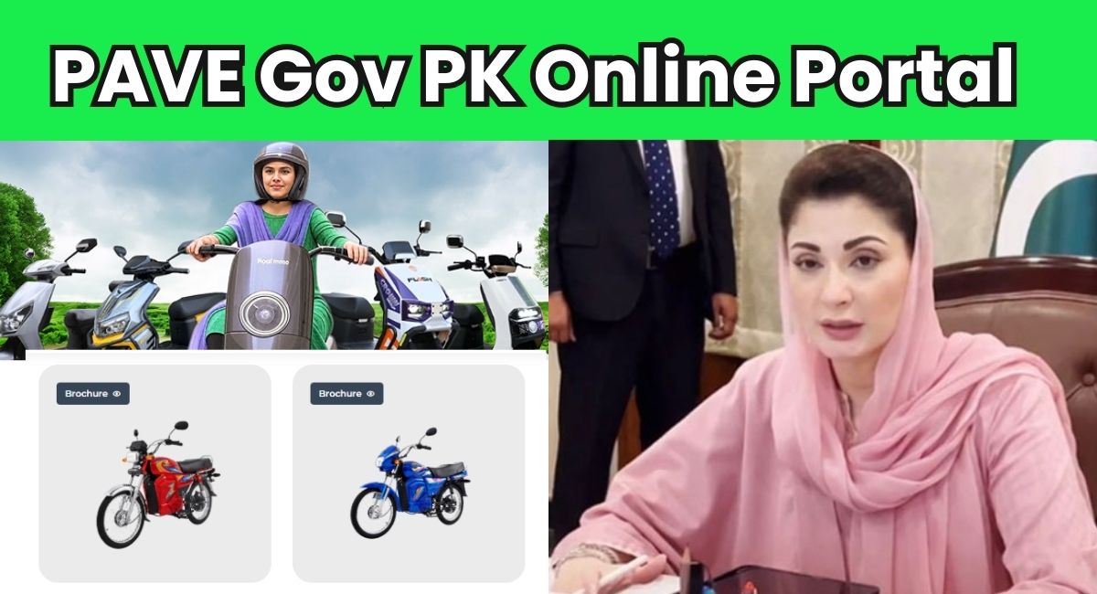 Fix PAVE Gov PK Online Application Errors