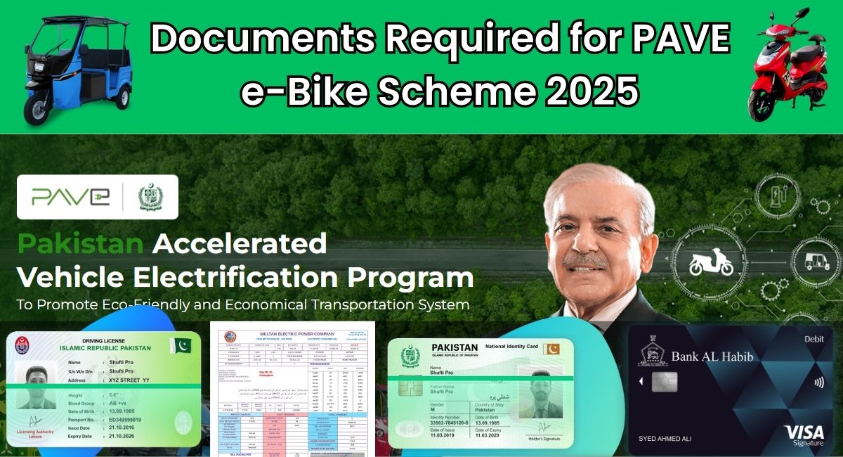 pave.gov.pk required Documents
